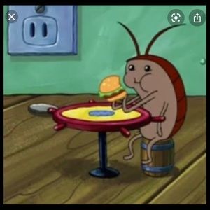 Meet your Posher, Ciara